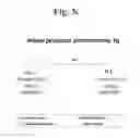 Fig. 08 - Composition for treating atopic dermatitis comprising hirsutenone as an active ingredient