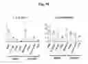 Fig. 35 - Composition for treating atopic dermatitis comprising hirsutenone as an active ingredient