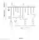 Fig. 05 - METHODS AND COMPOSITIONS FOR CONTROL OF GYPSY MOTHS, Lymanria dispar