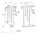 Fig. 06 - METHODS AND COMPOSITIONS FOR CONTROL OF GYPSY MOTHS, Lymanria dispar