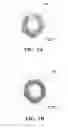 Fig. 02 - Extrusion of a foamable fluoropolymer