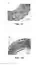 Fig. 03 - Extrusion of a foamable fluoropolymer