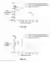 Fig. 09 - Multi-arm polymer prodrugs