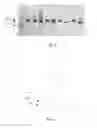 Fig. 02 - Process for the purification of Fc-containing proteins