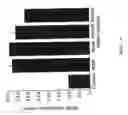 Fig. 09 - Antibodies to human ErbB4