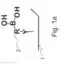 Fig. 02 - Method for immobilizing glycoprotein