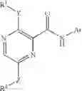 Fig. 19 - PYRAZINAMIDE COMPOUND