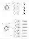 Fig. 08 - METHOD AND SYSTEM TO DETECT NEOINTIMA COVERAGE OF A STENT