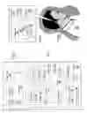 Fig. 08 - Diagnostic delivery service