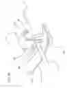 Fig. 41 - Catheter and Introducer Needle Assembly with Needle Shield