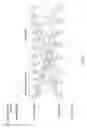 Fig. 04 - RADIO COMMUNICATION APPARATUS AND REDUNDANCY VERSION TRANSMISSION CONTROL METHOD