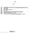 Fig. 06 - Optimized JavaServer Pages lifecycle model