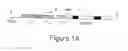 Fig. 02 - Human chronic lymphocytic leukemia modeled in mouse by targeted TCL1 expression