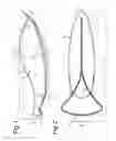 Fig. 02 - CUTTING DEVICE FOR A SPHERICAL FRUIT OR VEGETABLE HAVING A SKIN.