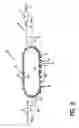 Fig. 09 - DEVICE AND METHOD FOR ADDING INFORMATION ON THE OUTER SURFACE OF ARTICLES, SUCH AS CONTAINERS IN A CONTAINER FILLING PLANT