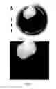 Fig. 04 - Optical filling control of pharmaceutical capsules in capsule filling machines
