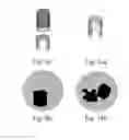 Fig. 07 - Optical filling control of pharmaceutical capsules in capsule filling machines