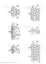Fig. 21 - Multi-cylinder internal combustion engine, vehicle, marine vessel, and exhausting method for multi-cylinder internal combustion engine