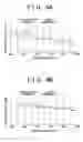 Fig. 05 - Exhaust device for vehicle internal combustion engine