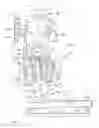 Fig. 02 - Upright piano and action unit incorporated therein