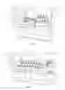 Fig. 04 - Egg vaccination apparatus