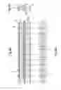 Fig. 09 - Chain for a conveyor