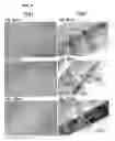 Fig. 04 - METHOD FOR PREPARING TRANSPARENT CONDUCTING FILM COATED WITH AZO/AG/AZO MULTILAYER THIN FILM