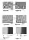 Fig. 04 - ELECTROCHEMICAL METHODS OF MAKING NANOSTRUCTURES
