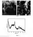 Fig. 03 - Composite metal oxide catalyst and method for preparation and application thereof