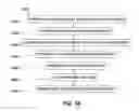 Fig. 09 - Multiple nozzle gas cluster ion beam processing system and method of operating