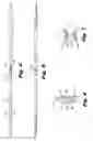 Fig. 04 - LIGHTWEIGHT TOP GARMENT HANGER