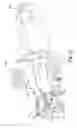 Fig. 08 - Fastening tool with automatic feeding of wire-collated fasteners