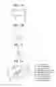 Fig. 06 - Advanced Thermoplastics for Orthodontics