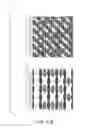 Fig. 41 - ANTI-COUNTERFEIT PRINTED MATTER