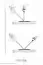 Fig. 45 - ANTI-COUNTERFEIT PRINTED MATTER