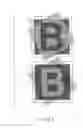 Fig. 85 - ANTI-COUNTERFEIT PRINTED MATTER