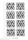 Fig. 97 - ANTI-COUNTERFEIT PRINTED MATTER