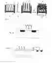 Fig. 02 - METHOD OF ELECTRICALLY DETECTING A BIOLOGICAL ANALYTE MOLECULE
