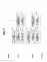 Fig. 08 - IMAGE PICKUP APPARATUS AND METHOD FOR SIGNAL PROCESSING IN IMAGE PICKUP APPARATUS