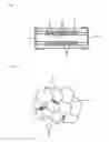 Fig. 02 - Dielectric ceramic and laminated ceramic capacitor