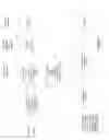 Fig. 12 - CONTROLLING POWER IN A SPREAD SPECTRUM SYSTEM