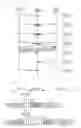 Fig. 06 - Communication apparatus and communication method