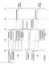 Fig. 06 - Apparatus and method for antenna switching diversity in an OFDM system