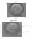 Fig. 08 - Embryo quality evaluation assistance system, embryo quality evaluation assistance apparatus and embryo quality evaluation assistance method