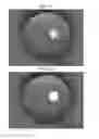 Fig. 09 - Embryo quality evaluation assistance system, embryo quality evaluation assistance apparatus and embryo quality evaluation assistance method