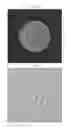 Fig. 11 - Embryo quality evaluation assistance system, embryo quality evaluation assistance apparatus and embryo quality evaluation assistance method