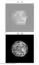 Fig. 12 - Embryo quality evaluation assistance system, embryo quality evaluation assistance apparatus and embryo quality evaluation assistance method