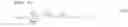 Fig. 48 - Optical multiport spectral phase encoder