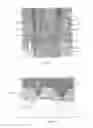Fig. 02 - Thread forming screw thread and corresponding thread roll die