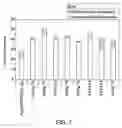 Fig. 06 - TEMPLATED CATALYST COMPOSITION AND ASSOCIATED METHOD